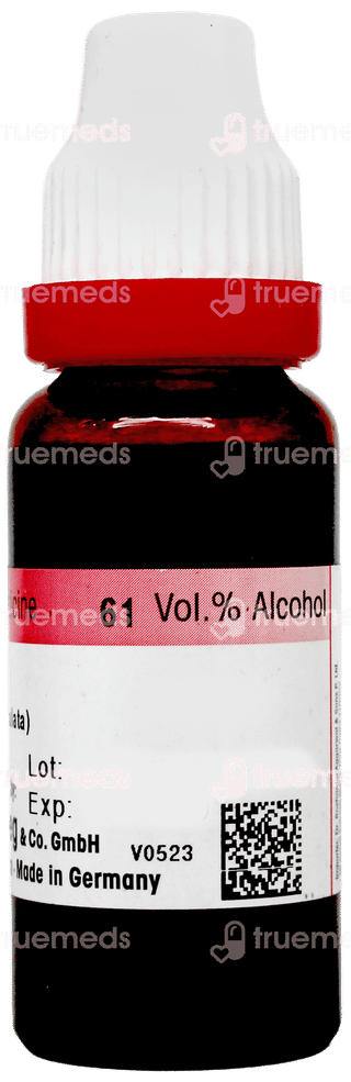 Dr Reckeweg Kalmegh Q Mother Tincture 20Ml